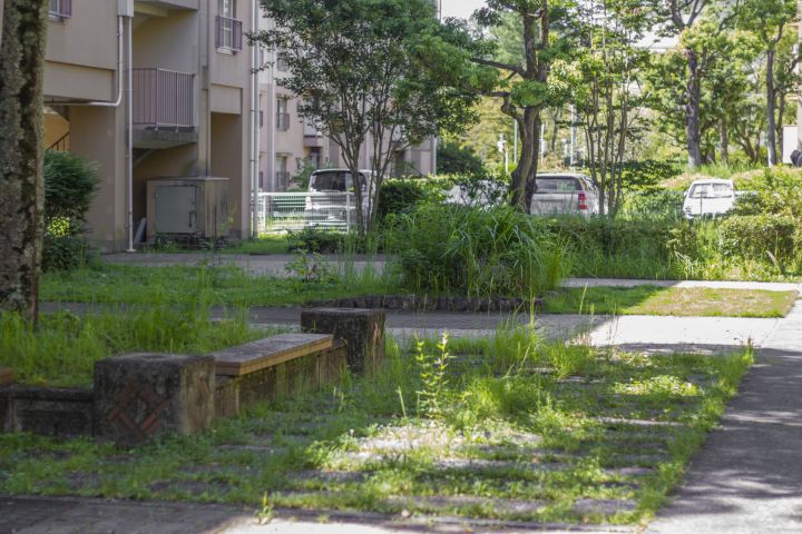 福岡市の土地活用と市場動向を支える不動産仲介の重要な役割と専門性